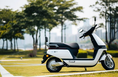 外賣(mài)員喜歡的5大電動(dòng)車(chē),最高續(xù)航656km,雅迪位列第二